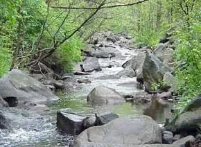 Stream competency Image